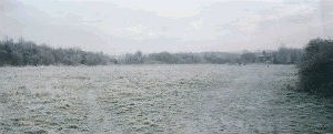 Water Meadow in winter