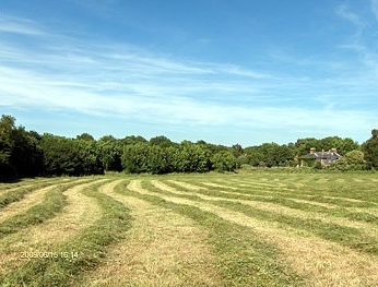 The Watermeadow